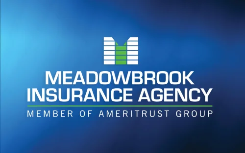 meadowbrook-insurance-agency-southfield-saginaw-sarasota meadowbrook insurance agency image