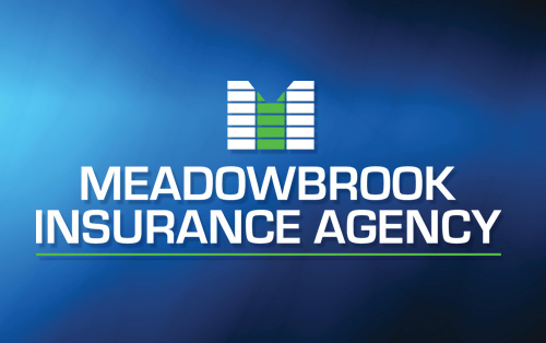 meadowbrook insurance agency logo