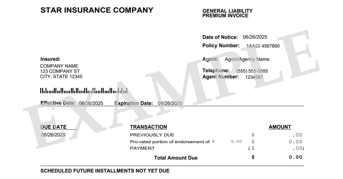 example of plain text invoice