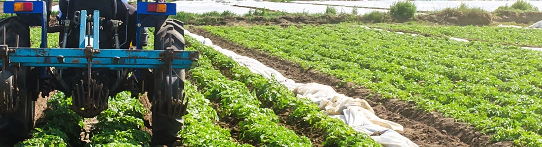 Agribusiness